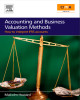 Ebook Accounting and business valuation methods: How to interpret IFRS accounts