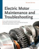 Ebook Electric motor maintenance and troubleshooting (Second edition): Part 1