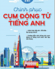 Ebook Chinh phục cụm động từ tiếng Anh