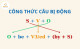 Basic Grammar in use: Passive voices (Thể bị động)