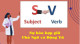Basic Grammar in use: Subject and verb agreements (Sự hòa hợp chủ ngữ và động từ)